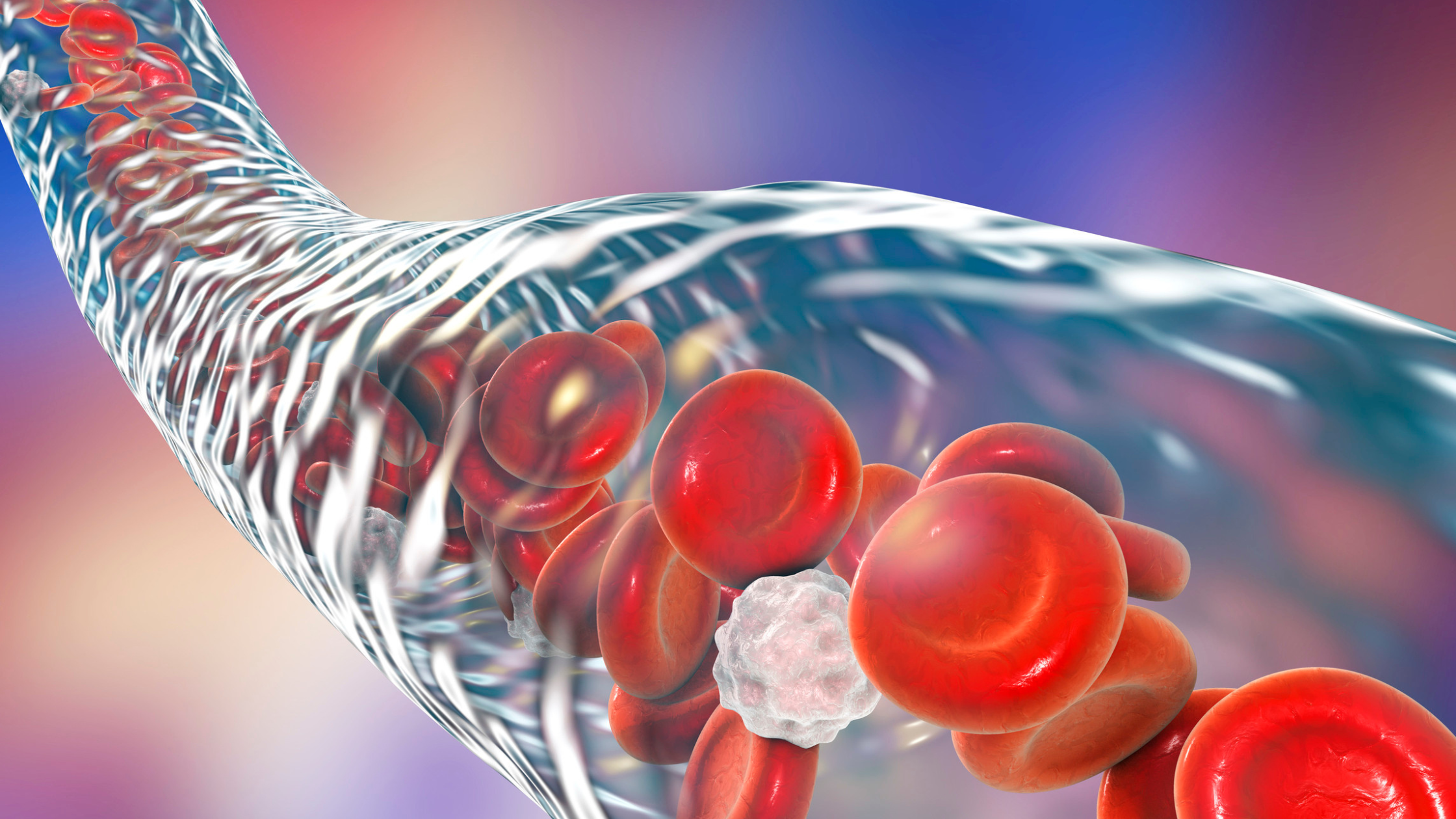 CELLS β The ENGINES of LIFE