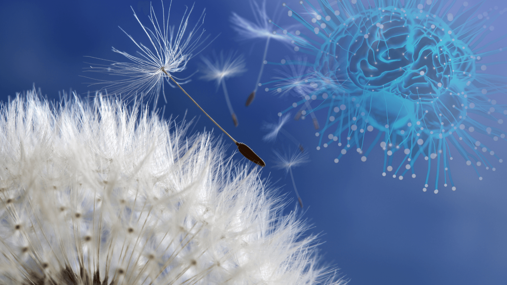 The Dynamic Interplay of Energy and Human Consciousness