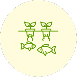Jiva-Water-Device