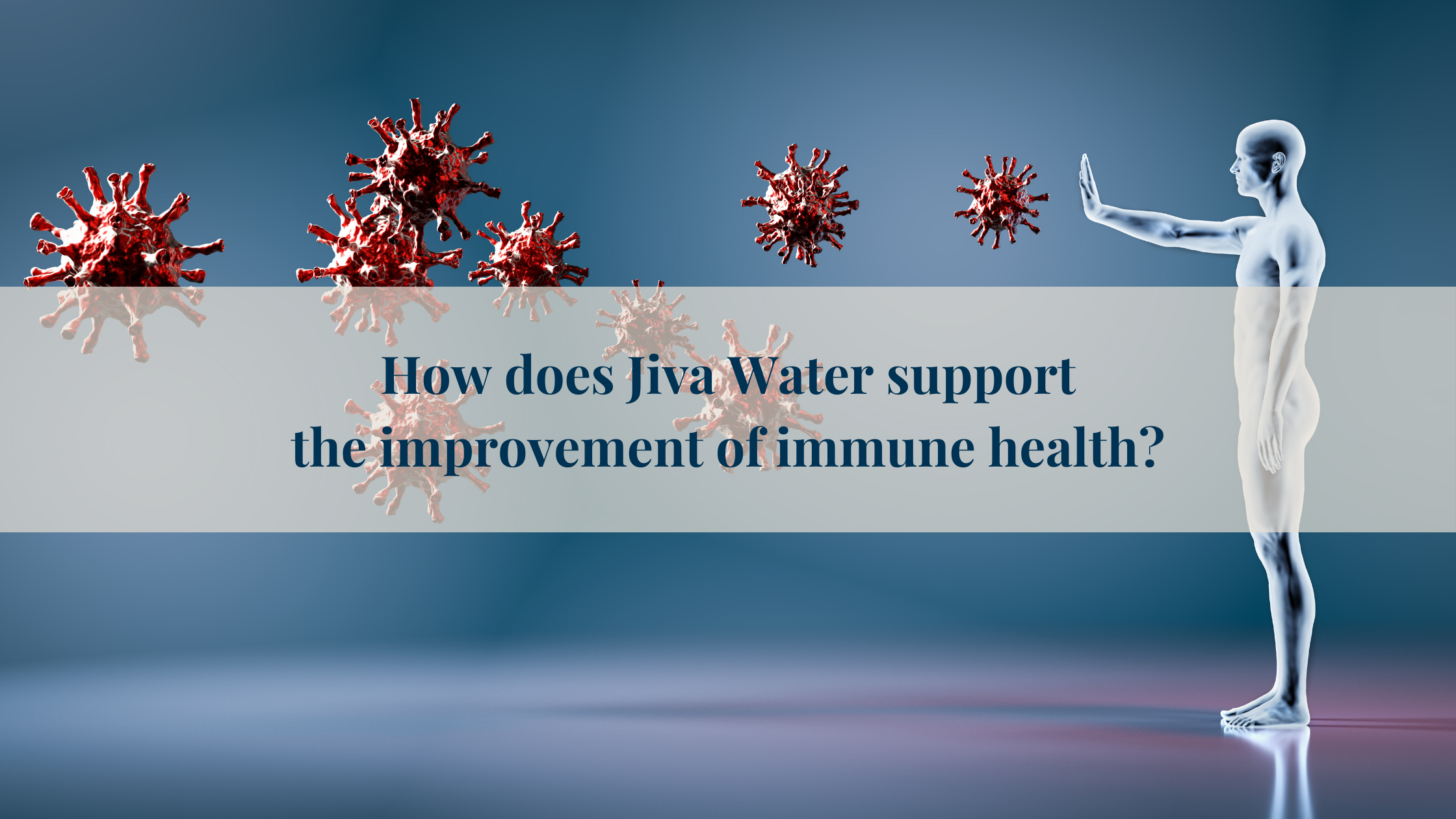How does Jiva Water support  the improvement of immune health?