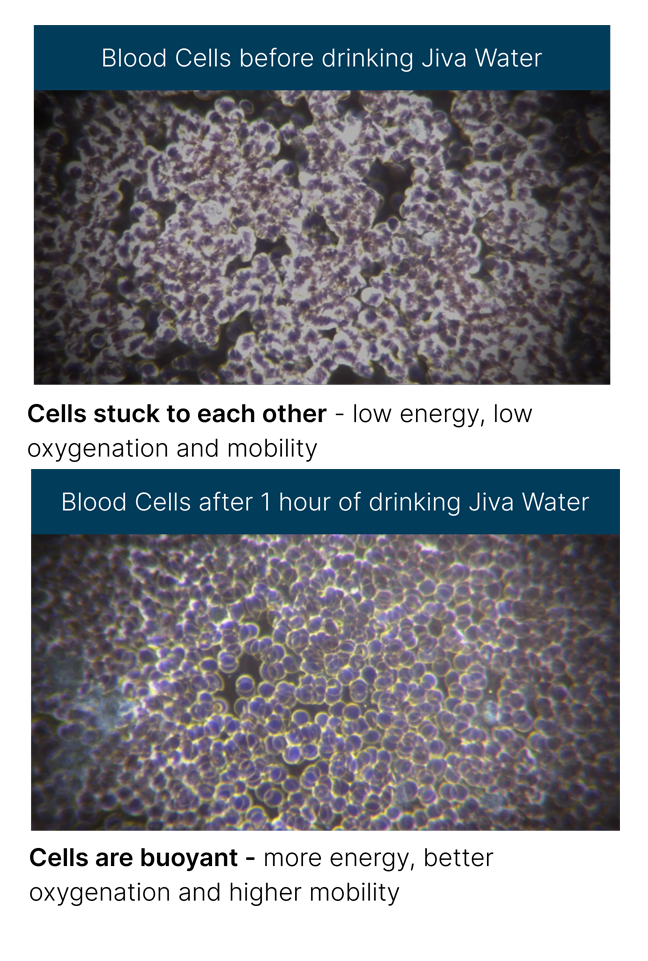 Jiva-Water