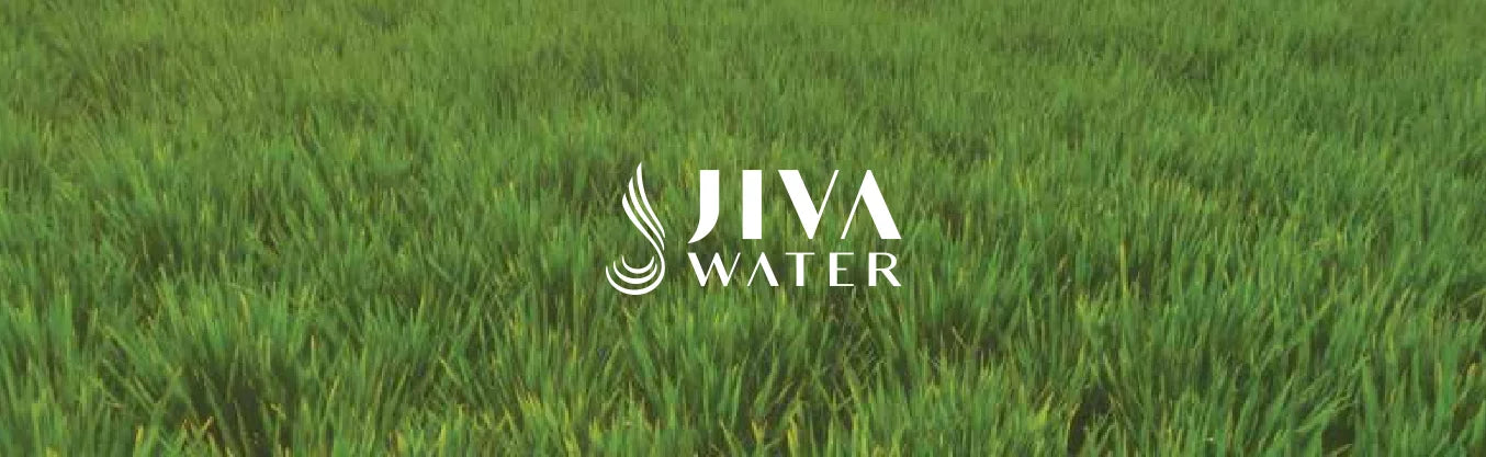 Nature_Refresh_Jiva_Water