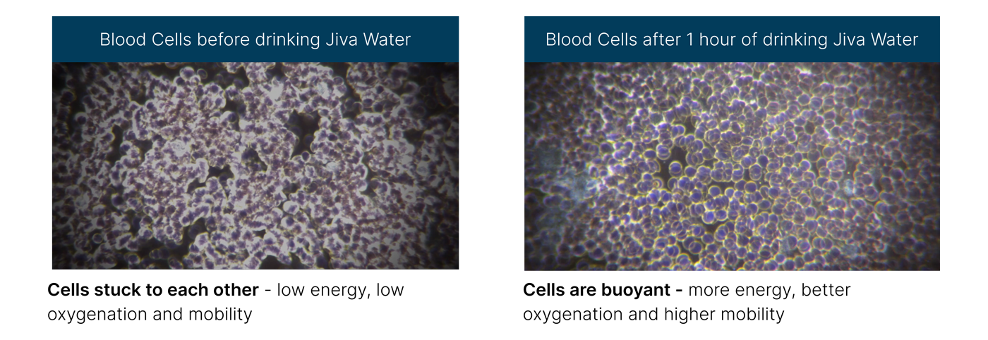 Jiva-Water