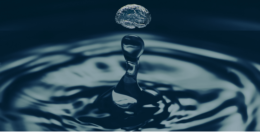 The Intriguing Connection: Water and Memory Explained | Jiva Water ...